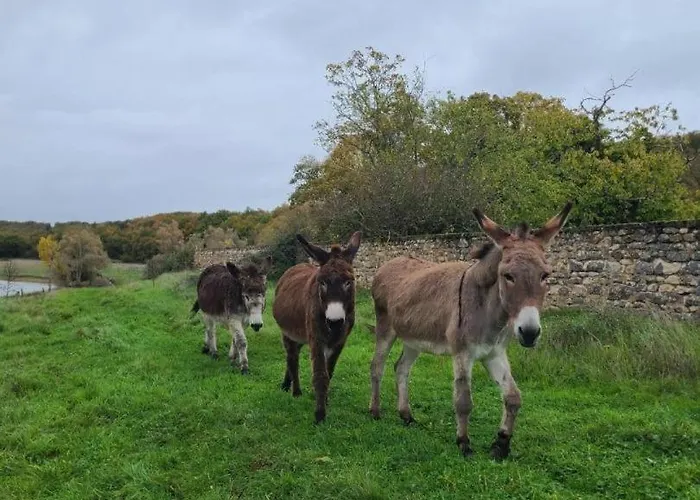 La Maison Du Fermier * شوفيني